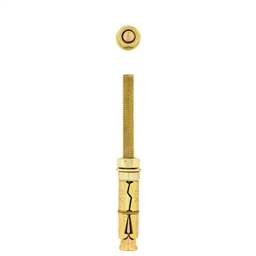 Expansion Projecting Bolt